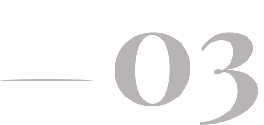 The image displays a large number "03" in a serif font with a horizontal line extending from the left side of the zero. The background is light gray.
