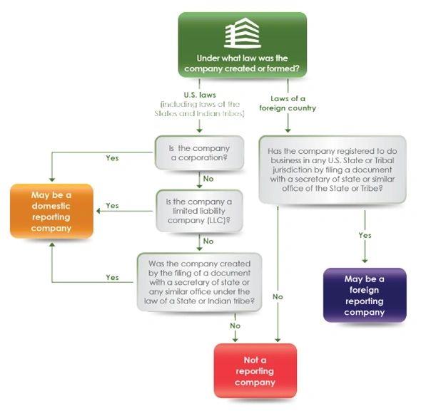 What Are Reporting Companies